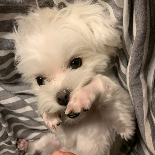 알음
