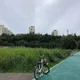 도리토리