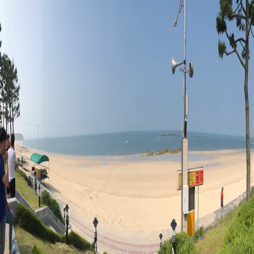 흑초코보