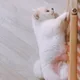 용감이맘