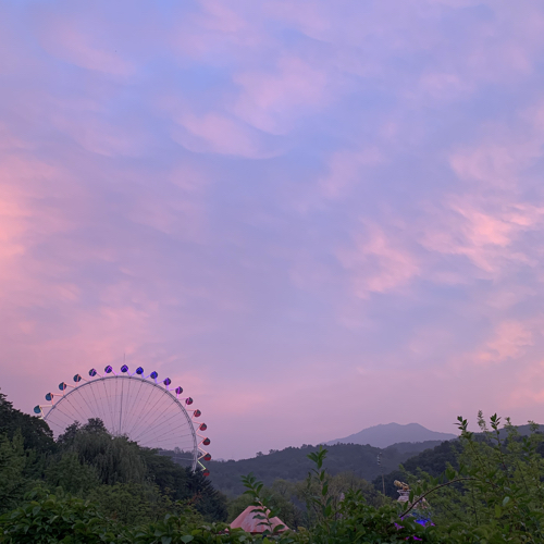 잶잼