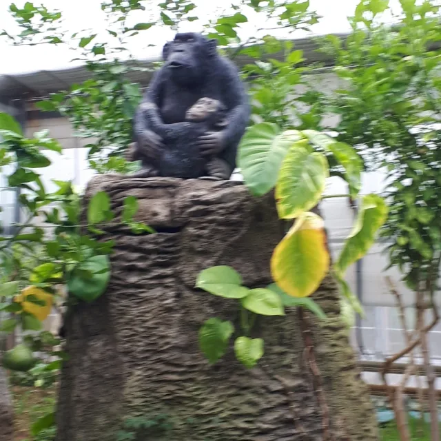 장지동