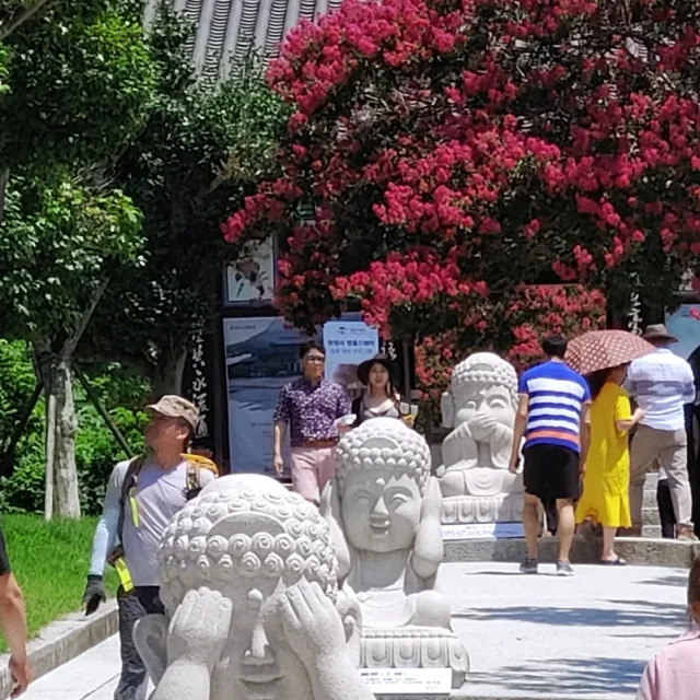 도토리백개