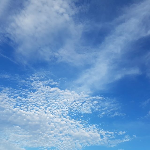 차오르리라