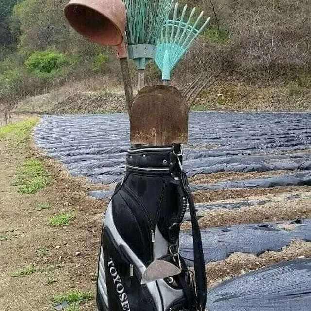 백마탄환자
