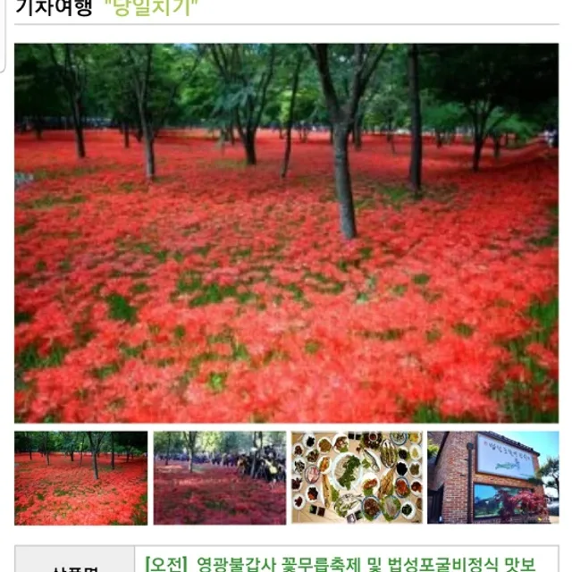 토끼