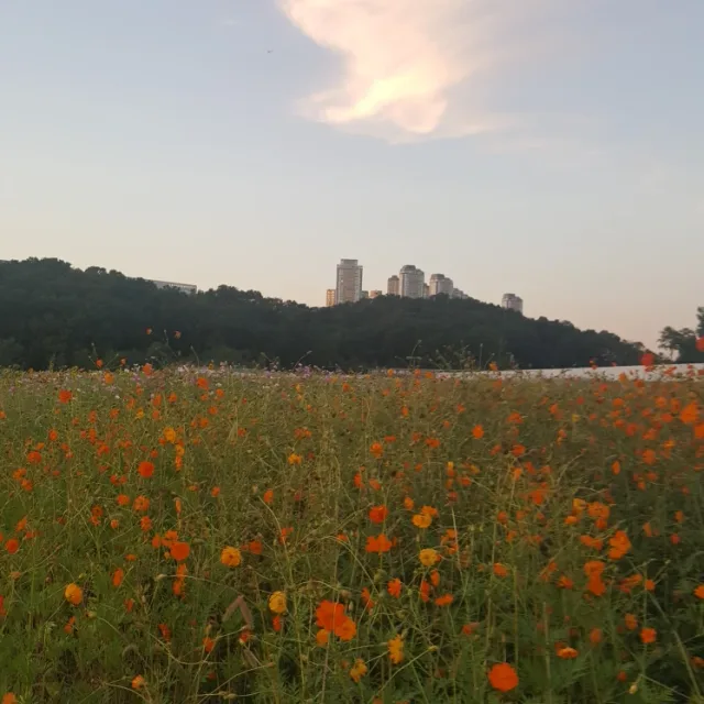 이제기흥