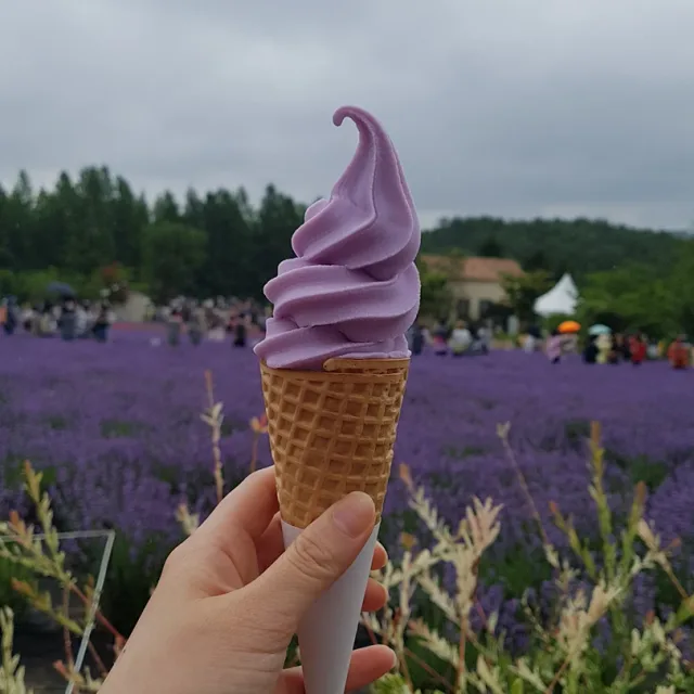 꿀순이