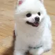 자두엄마