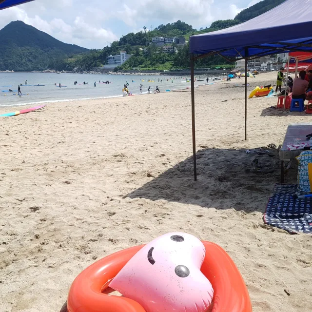 편안한일상