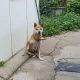 타류우우uu