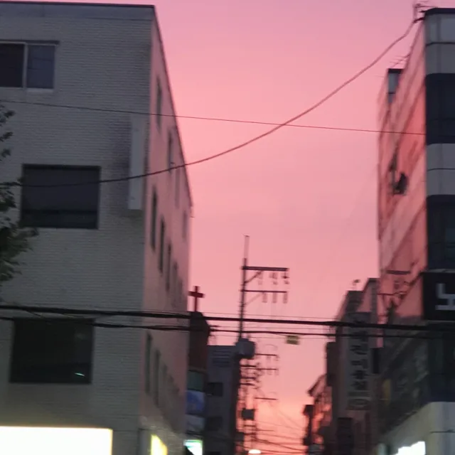 미니