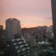 대라