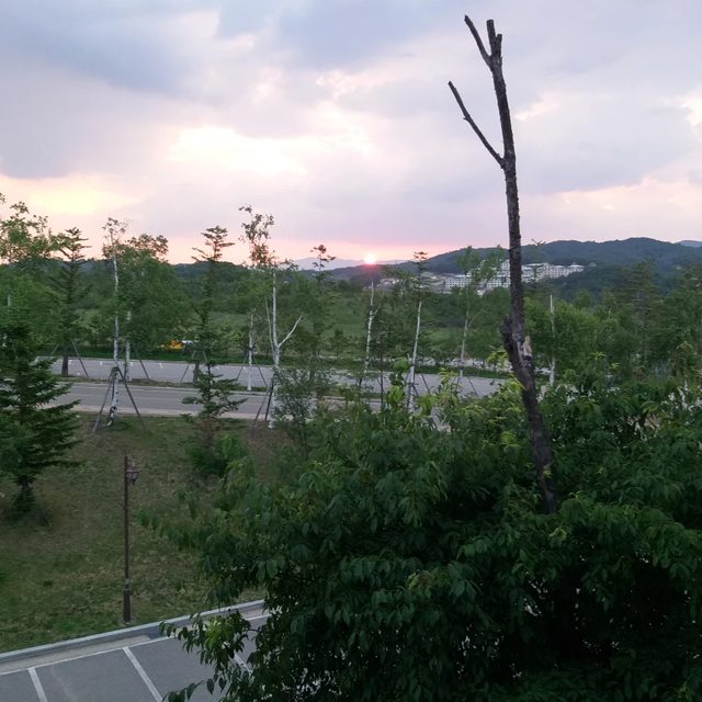 리뷰 프로필 이미지