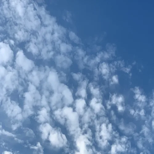푸른하늘