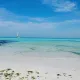 레인보우