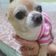 아리사랑맘