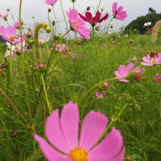 토갱이맘