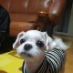 땅콩