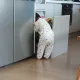 채설봄