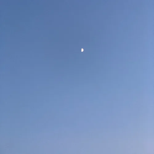 초이