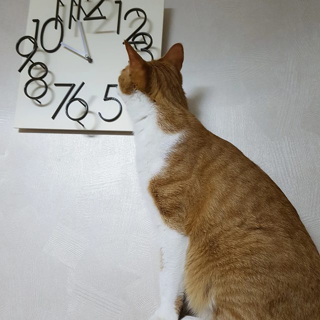 쑥쑥