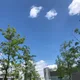나뚜르