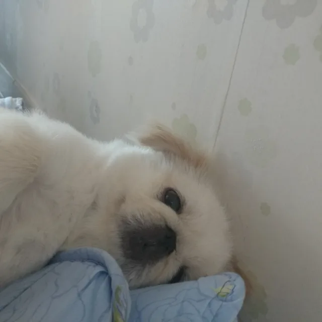 두부의하루