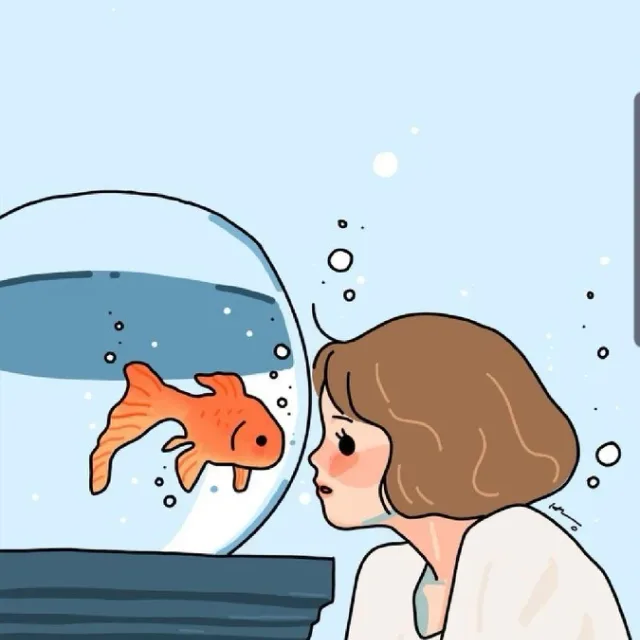 퍼니페이스