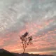 예쁜게좋아