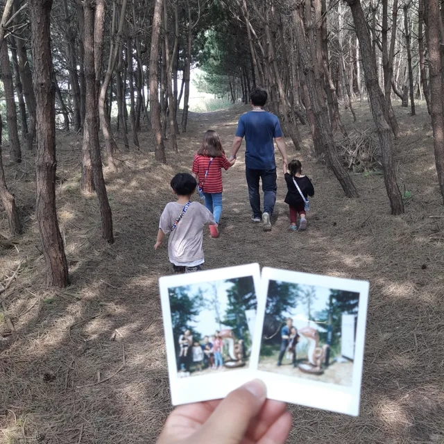 포고