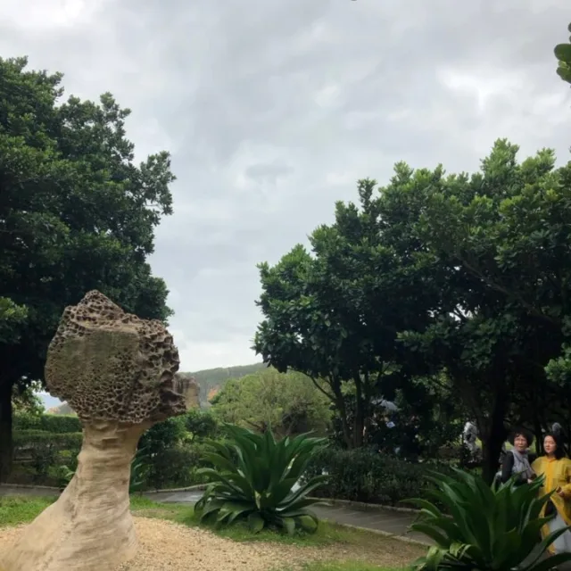 profile