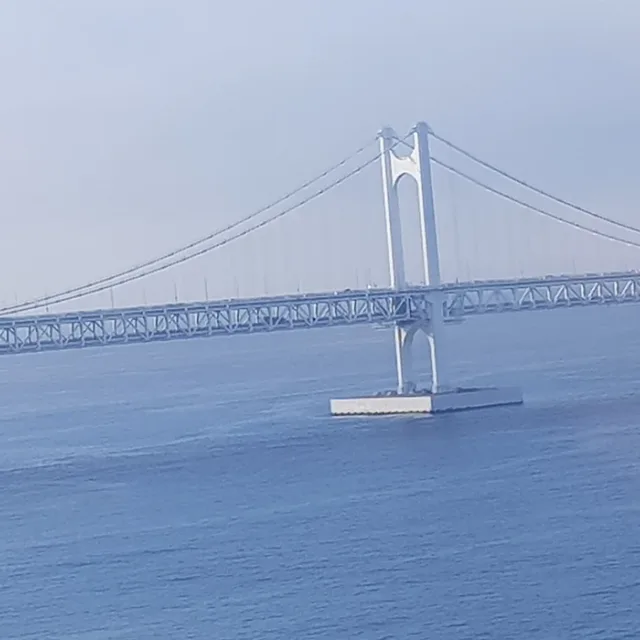 사과