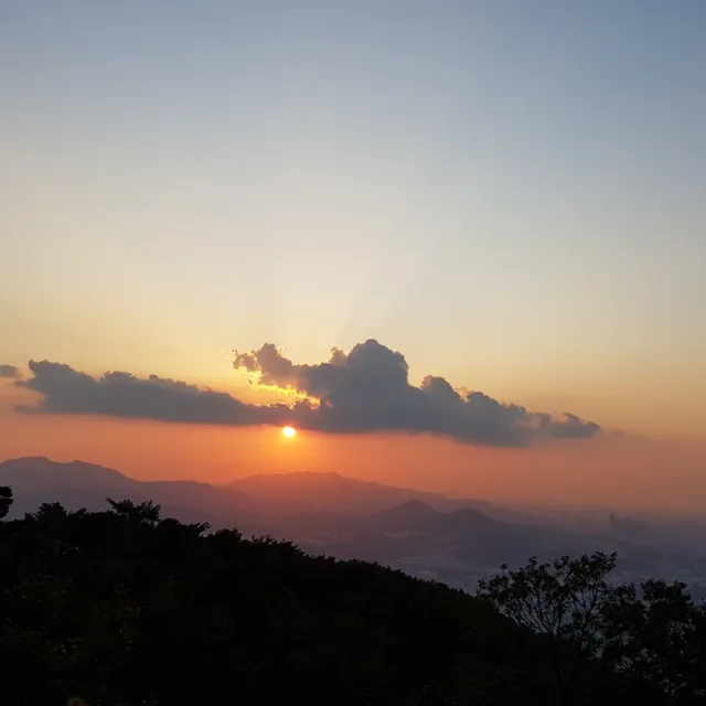봄처녀
