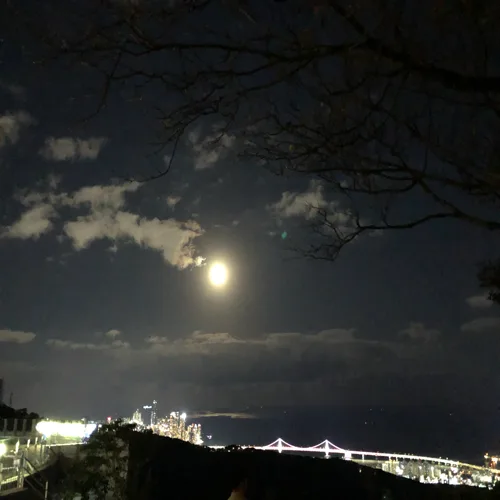 방뿡이