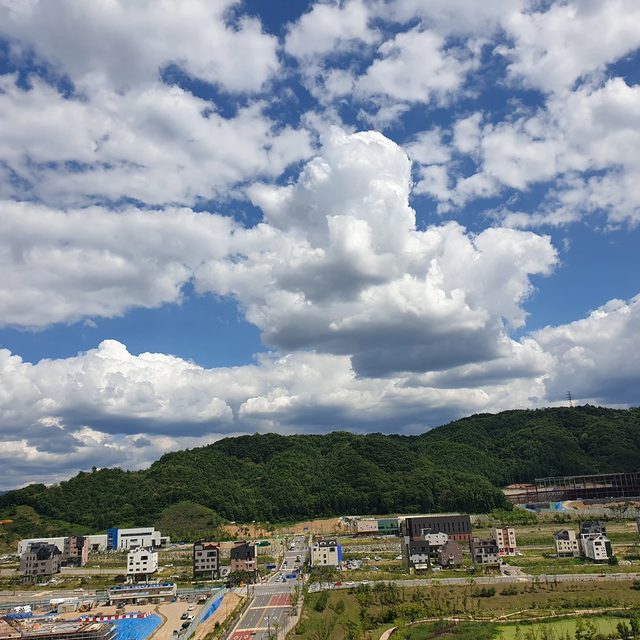 보라공주