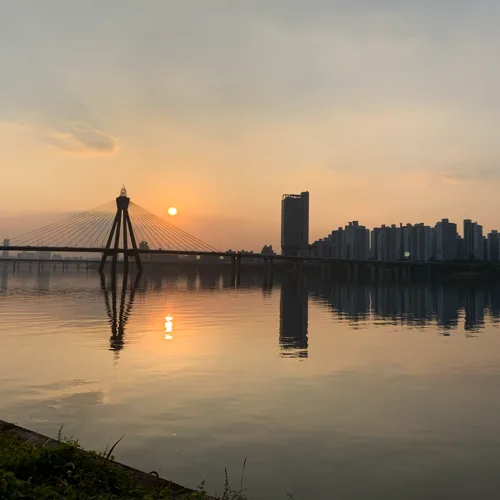 선인장