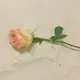 으니