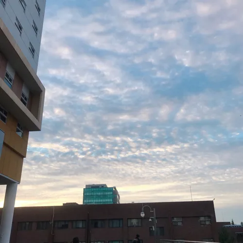 항항