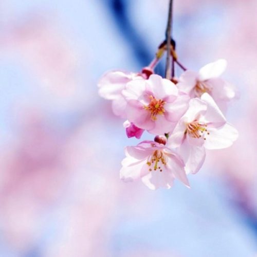 리뷰 프로필 이미지