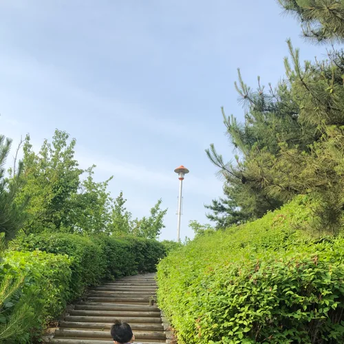 붉은원숭이