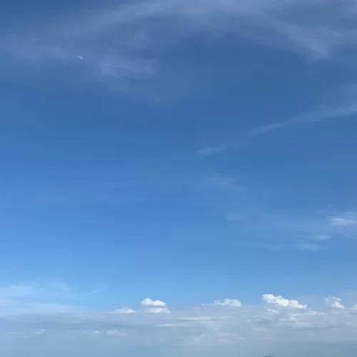 모찌