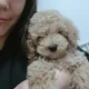 오두리