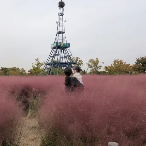 재재하투