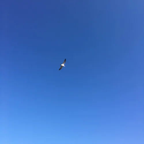 호수좋아
