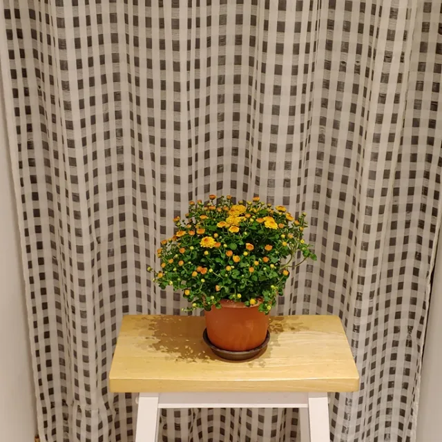happyviruss2