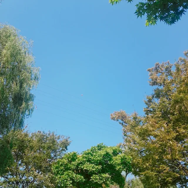 딸맘