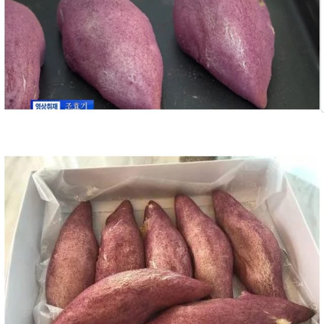 리뷰 프로필 이미지