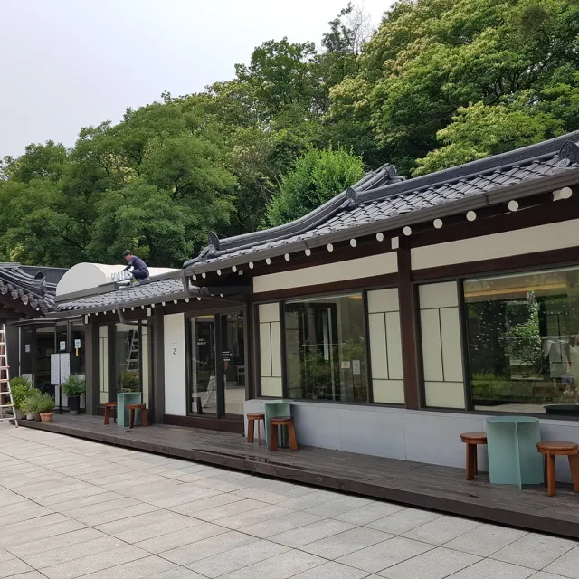 양귀비