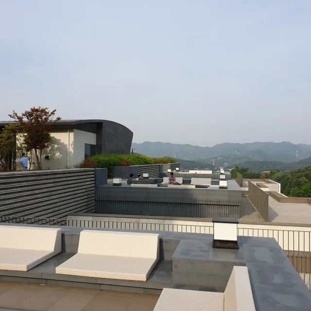 골드